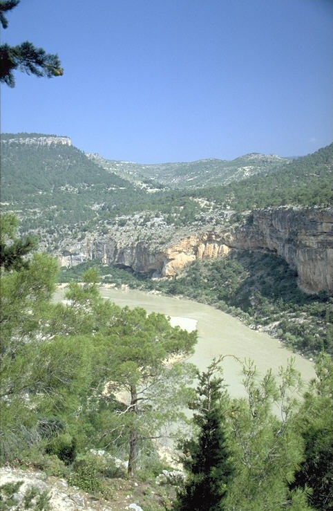 Gemeint ist Friedrich I. Barbarossa, der unweit des ehemaligen Seleucia, einer Gr�ndung Seleukos Nikators, ein St�ck weit den Kalykadnos flu�aufw�rts, ertrank. 