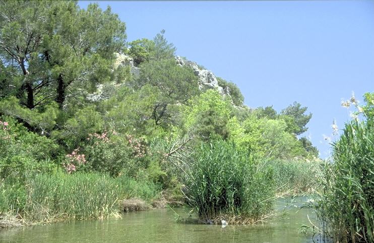 Man l�uft vom Meer weg direkt in ein enges, schilfbestandenes und von hohen W�nden umschlossenes Tal hinein, das gerade im vollen Saft des Fr�hlings steht