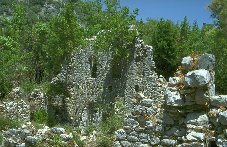 Blumenteppiche �berziehen die enge Schlucht, es ist wie in einem lichtdurchfluteten Hain