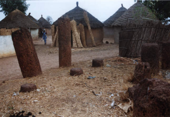 Das afrikanische Stonehenge