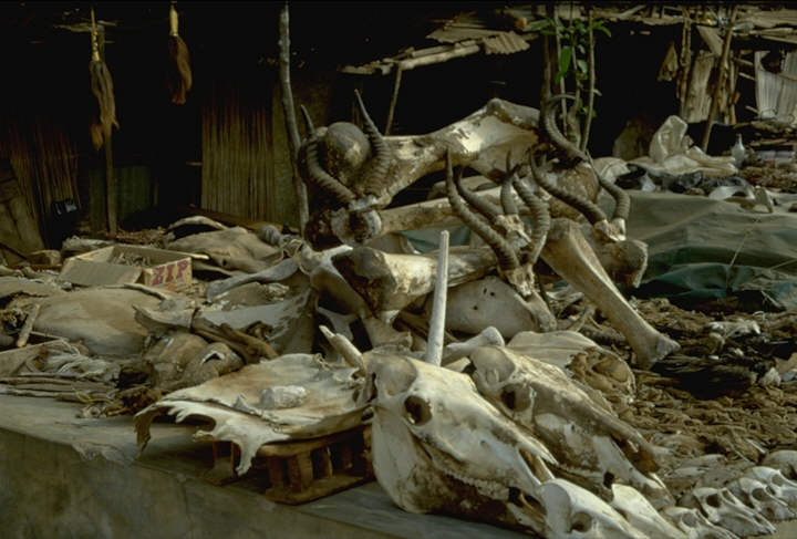 Es sind fast ausschlie�lich Leute aus Benin, die hier handeln.